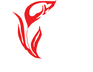 Associazione Italiana Trapianti di Fegato